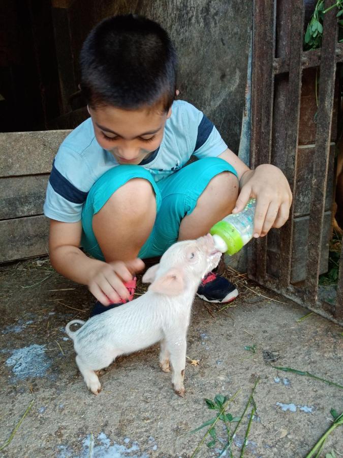Il Casale Agroturismo