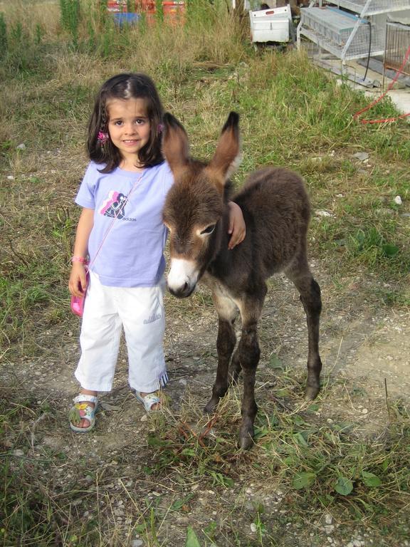Il Casale Agroturismo Morrovalle