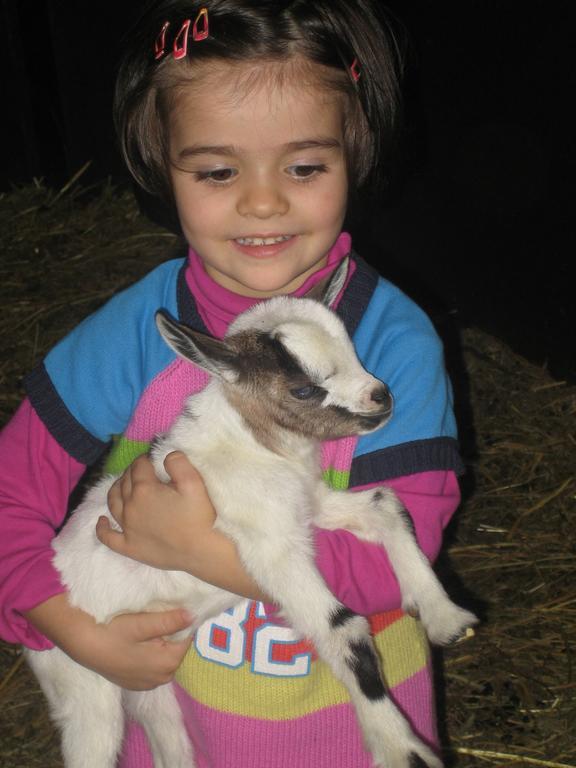 Il Casale Agroturismo Morrovalle